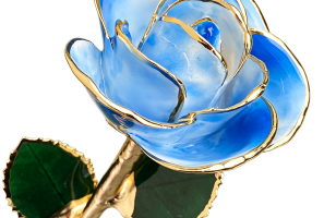 Blue preserved rose with gold-trimmed petals