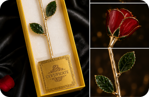 Boxed red preserved rose with its authenticity certificate